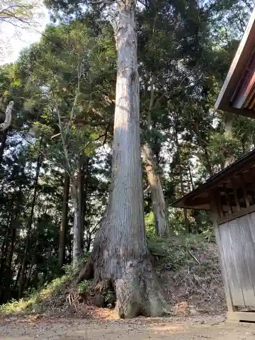 稲葉山神社(千葉県)