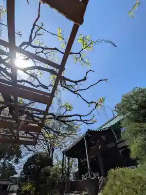 愛染院(東京都)