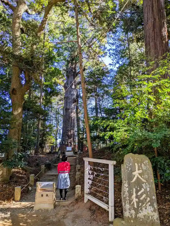麻賀多神社の自然
