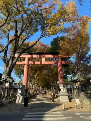 武蔵一宮氷川神社(埼玉県)