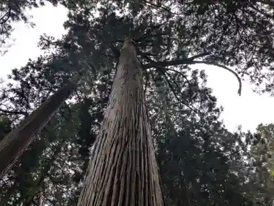 大皇器地祖神社(滋賀県)