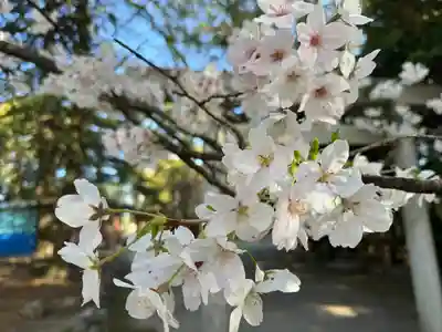 諏訪神社(三重県)