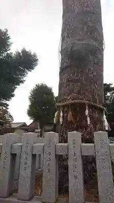 下野國一社八幡宮のその他建物