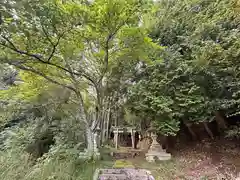 竹谷神社(京都府)