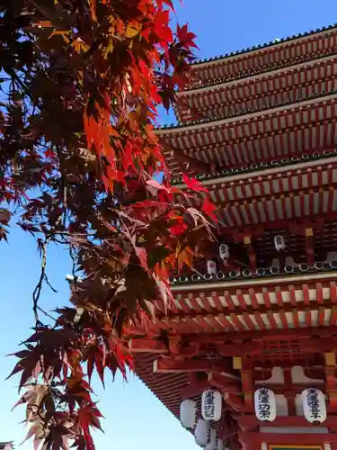 高幡不動尊　金剛寺(東京都)