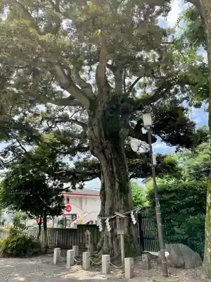 八幡大神社(東京都)
