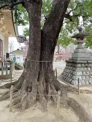 諏訪神社(東京都)