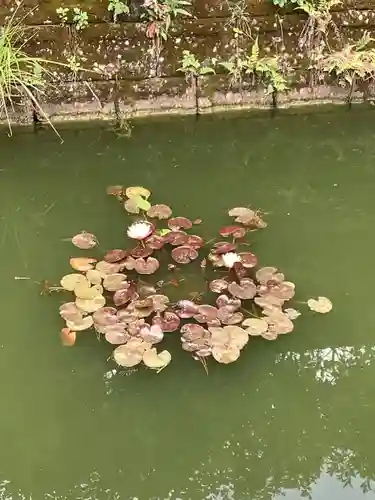 市原稲荷神社の庭園