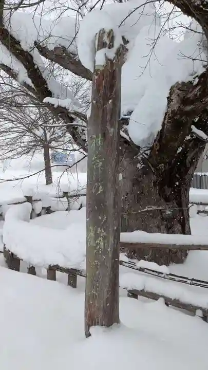 御田神社の自然