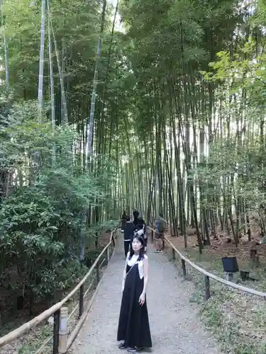 高台寺（高台寿聖禅寺・高臺寺）(京都府)