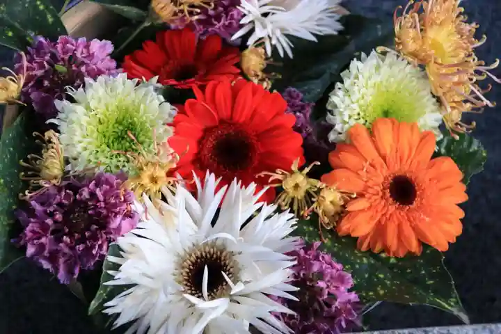 豊景神社の手水舎