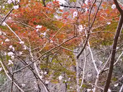 西明寺(滋賀県)