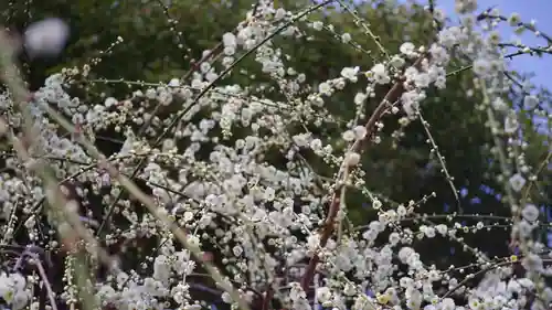城南宮(京都府)