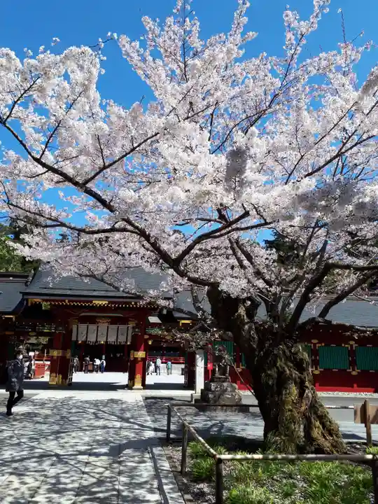 志波彦神社・鹽竈神社の自然