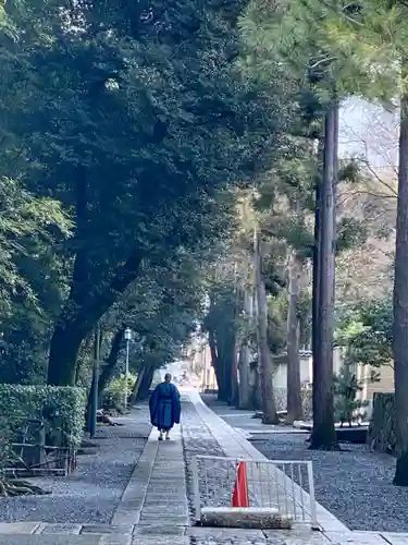 大徳寺(京都府)