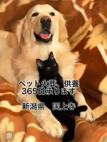 国上寺(新潟県)