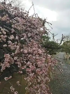 龍光寺(三重県)