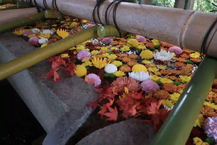 石清水八幡宮の手水舎