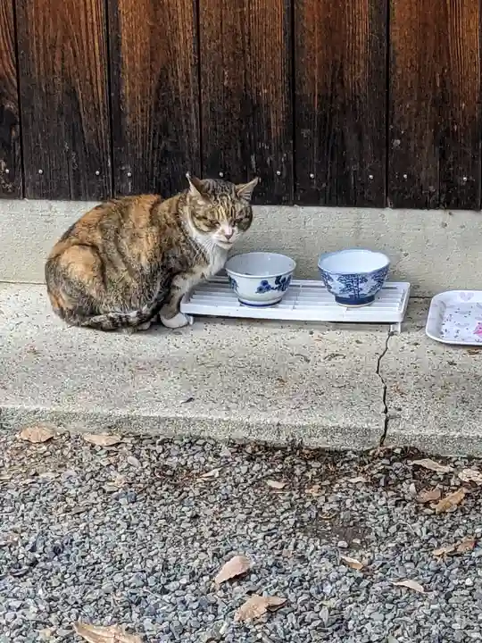 八幡社(柏井町)の動物