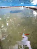 石内のお大師さん 金剛院の周辺