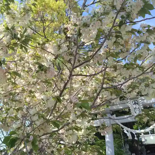 上地八幡宮(愛知県)