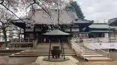 新井薬師（梅照院）(東京都)