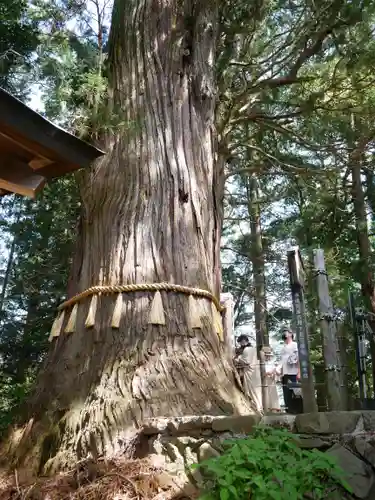鷲子山上神社(栃木県)