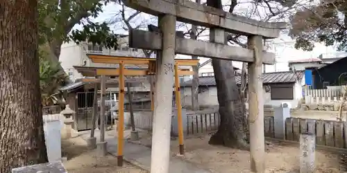 渋川神社の鳥居