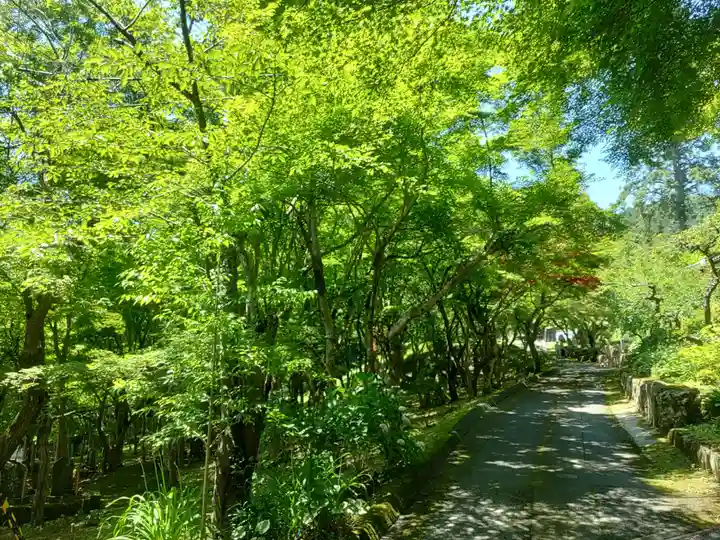 長安寺(京都府)