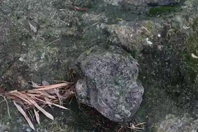 津嶋神社の狛犬