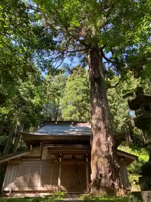 八乙女根尾神社の本殿・本堂