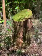 土佐神社の自然