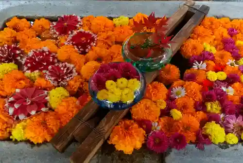 網走神社の手水