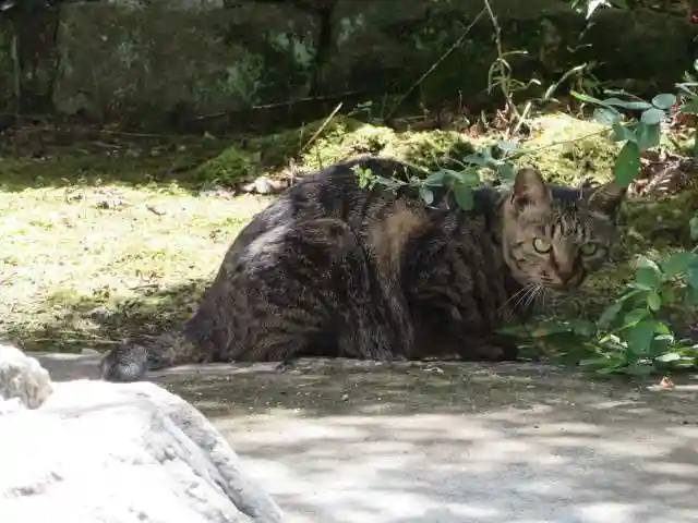 長岳寺(奈良県)