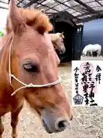 五方山熊野神社の御朱印