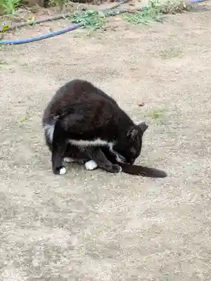 岡部春日神社～👹鬼門よけの🌺花咲く🌺やしろ～(福島県)