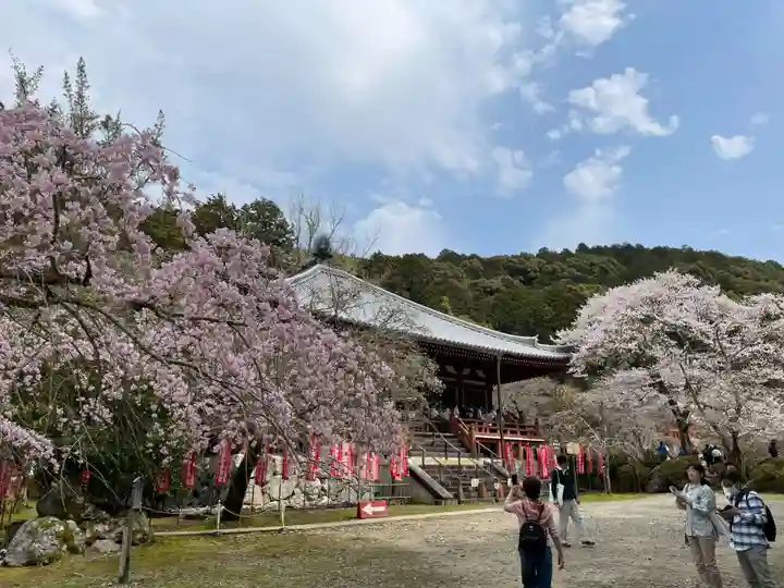 醍醐寺(京都府)