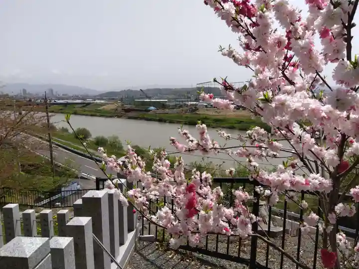 與須奈神社(福井県)