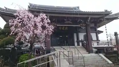 法蓮寺(東京都)