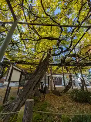 國領神社(東京都)