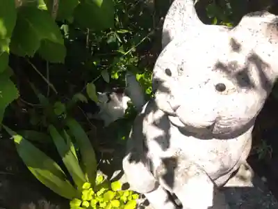 御誕生寺（猫寺）(福井県)