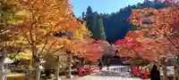 高野山金剛峯寺奥の院(和歌山県)