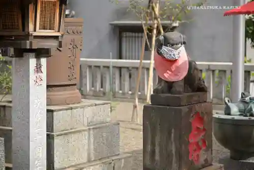 元郷氷川神社の狛犬