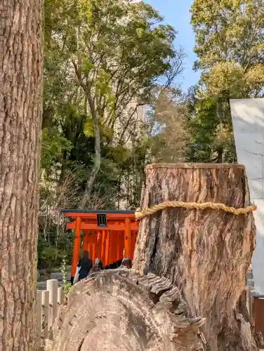 生田神社の{uncategorized: "未分類", other: "その他", undefined: "問題あり", building: "その他建物", grave: "お墓", sacred_gate: "鳥居", guardian: "狛犬", statue: "像", buddha: "仏像", history: "歴史", nature: "自然", garden: "庭園", animal: "動物", pagoda: "塔", temizu: "手水舎", mountain_gate: "山門・神門", sanctuary: "本殿・本堂", subordinate: "末社・摂社", art: "芸術", scenery: "景色", jizo: "地蔵", ema: "絵馬", goshuin: "御朱印", omikuji: "おみくじ", items: "授与品その他", amulet: "お守り", goshuincho: "御朱印帳", eats: "食事", festival: "お祭り", votive_dance: "神楽", shichigosan: "七五三参", wedding: "結婚式", experience: "体験その他", initially: "初詣", around: "周辺", anti_infection: "感染症対策"}