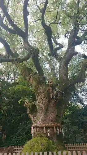 熱田神宮(愛知県)