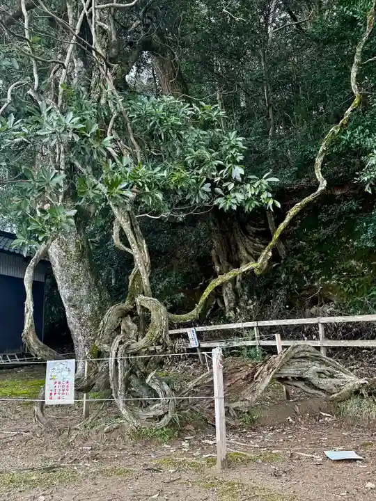 磯辺神社(京都府)