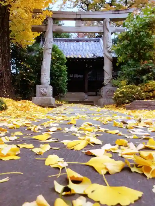 高円寺(東京都)
