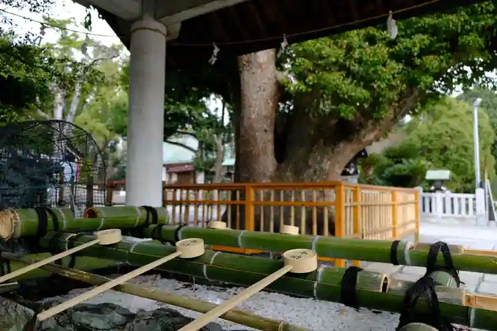 和泉國一之宮 大鳥大社の手水舎