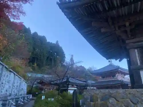 南法華寺（壷阪寺）(奈良県)
