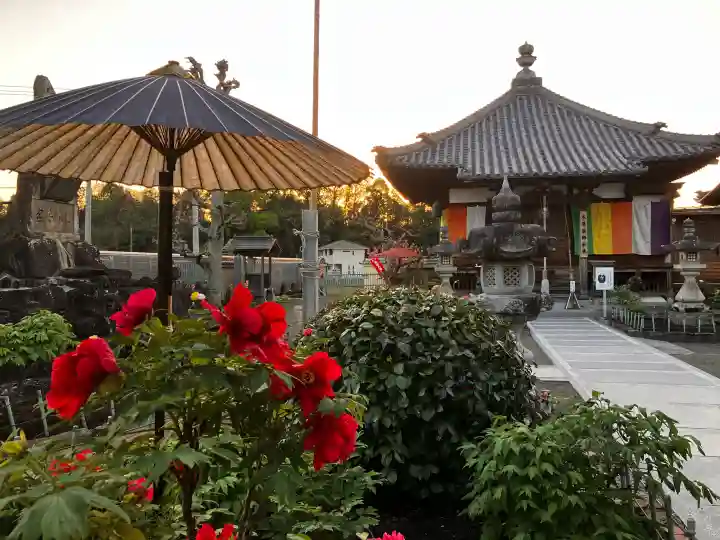 真言宗 善通寺派 薬王寺の{uncategorized: "未分類", other: "その他", undefined: "問題あり", building: "その他建物", grave: "お墓", sacred_gate: "鳥居", guardian: "狛犬", statue: "像", buddha: "仏像", history: "歴史", nature: "自然", garden: "庭園", animal: "動物", pagoda: "塔", temizu: "手水舎", mountain_gate: "山門・神門", sanctuary: "本殿・本堂", subordinate: "末社・摂社", art: "芸術", scenery: "景色", jizo: "地蔵", ema: "絵馬", goshuin: "御朱印", omikuji: "おみくじ", items: "授与品その他", amulet: "お守り", goshuincho: "御朱印帳", eats: "食事", festival: "お祭り", votive_dance: "神楽", shichigosan: "七五三参", wedding: "結婚式", experience: "体験その他", initially: "初詣", around: "周辺", anti_infection: "感染症対策"}